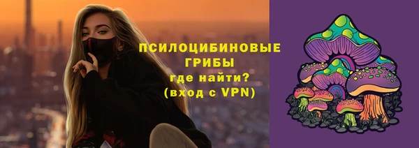 спиды Богданович