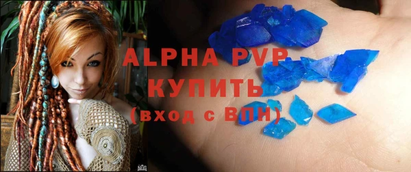 спиды Богданович