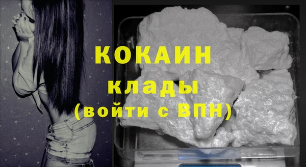 спиды Богданович