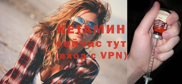 спиды Богданович