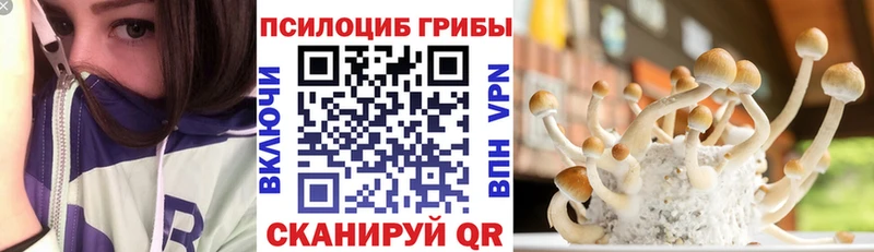 Галлюциногенные грибы Psilocybe  blacksprut ссылка  Кириллов 